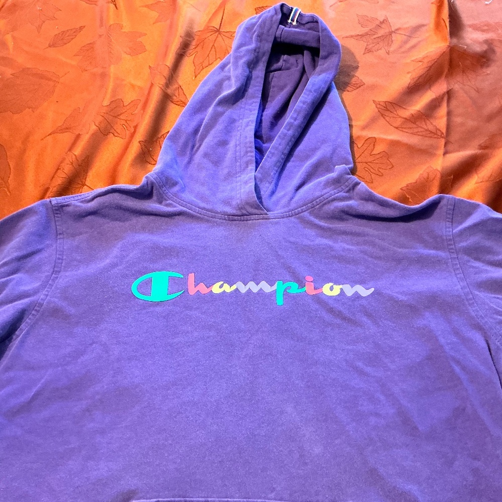 Champion lightweight hooded sweatshirt size lg.